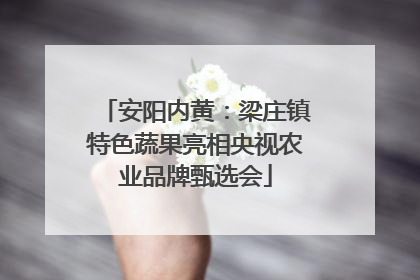 安阳内黄：梁庄镇特色蔬果亮相央视农业品牌甄选会